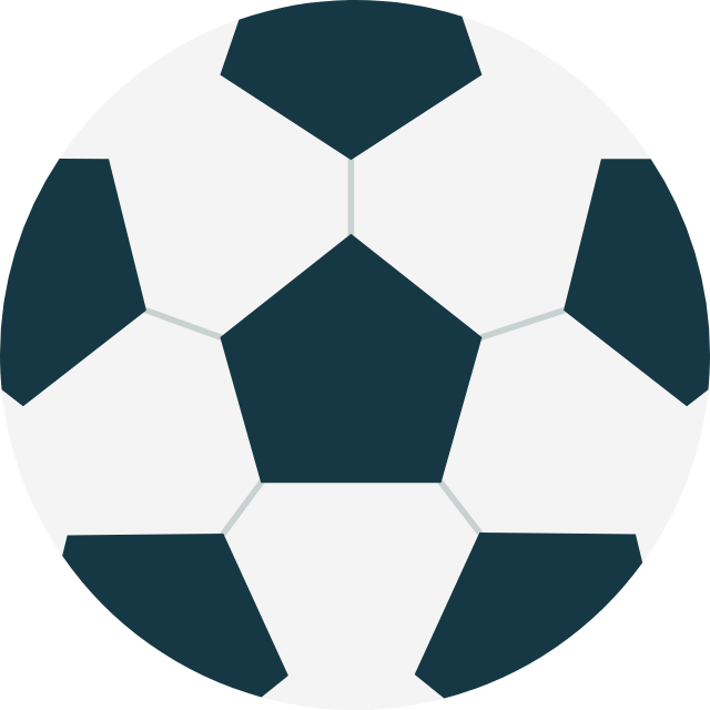 立陶甲logo